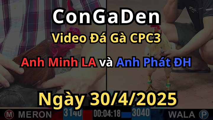 Gà Má Minh hốt bạc đầy bồ CPC3 30/4/2025