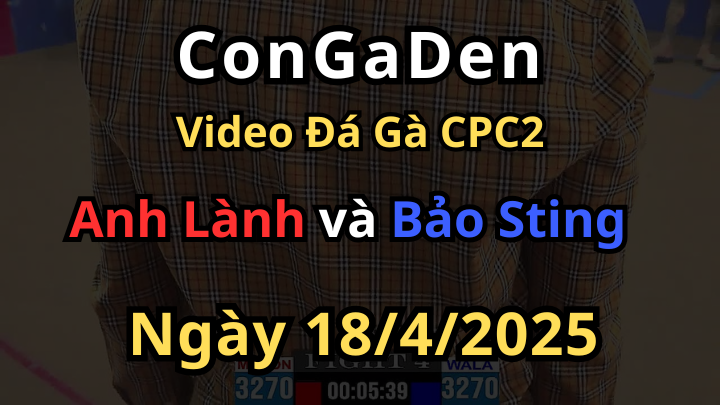 Gà idol Bảo Sting quá đẳng cấp chuỗi thắng 2 liên tiếp CPC2 18/4/2025