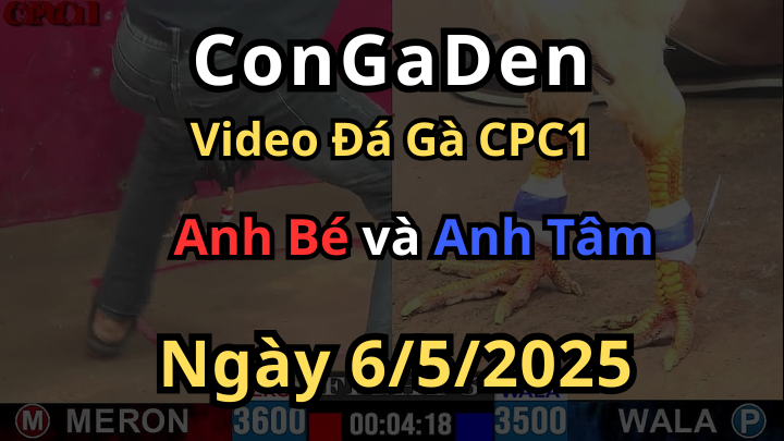 Bướm hiệu chấp nhẹ 1 chấm đá xỉu tại chỗ CPC1 6/5/2025